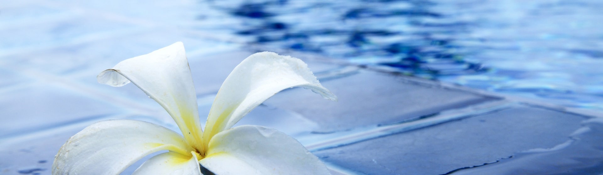 Triton Pool & Spa Inspections